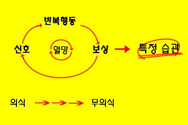 내가 하면 풀어지는...ㅠ