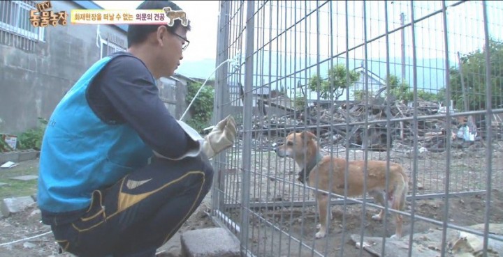 찾고 싶은걸 못찾았는지 한참 짖어보기도 하고...녀석의 정체는 병원에 입원하고 있는 이 집 주인이 7년째 키우던 개