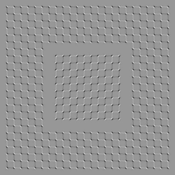 9. 최대한 눈을 움직여 가운데 사각형을 멈추게 해보세요
