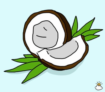 10. 코코넛 오일

코코넛 오일은 구내 건강에 좋다. 오일을 치아 구석구석 바르면 잇몸이 건강해진다. 좋은 박테리아는 살려두는 효과도 있다.