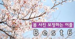 봄 사진 보정하는 어플 Best6