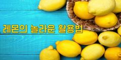 놀라운 레몬 사용 방법
