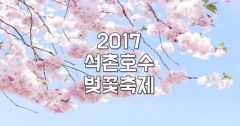 2017년 석촌호수 벚꽃축제
